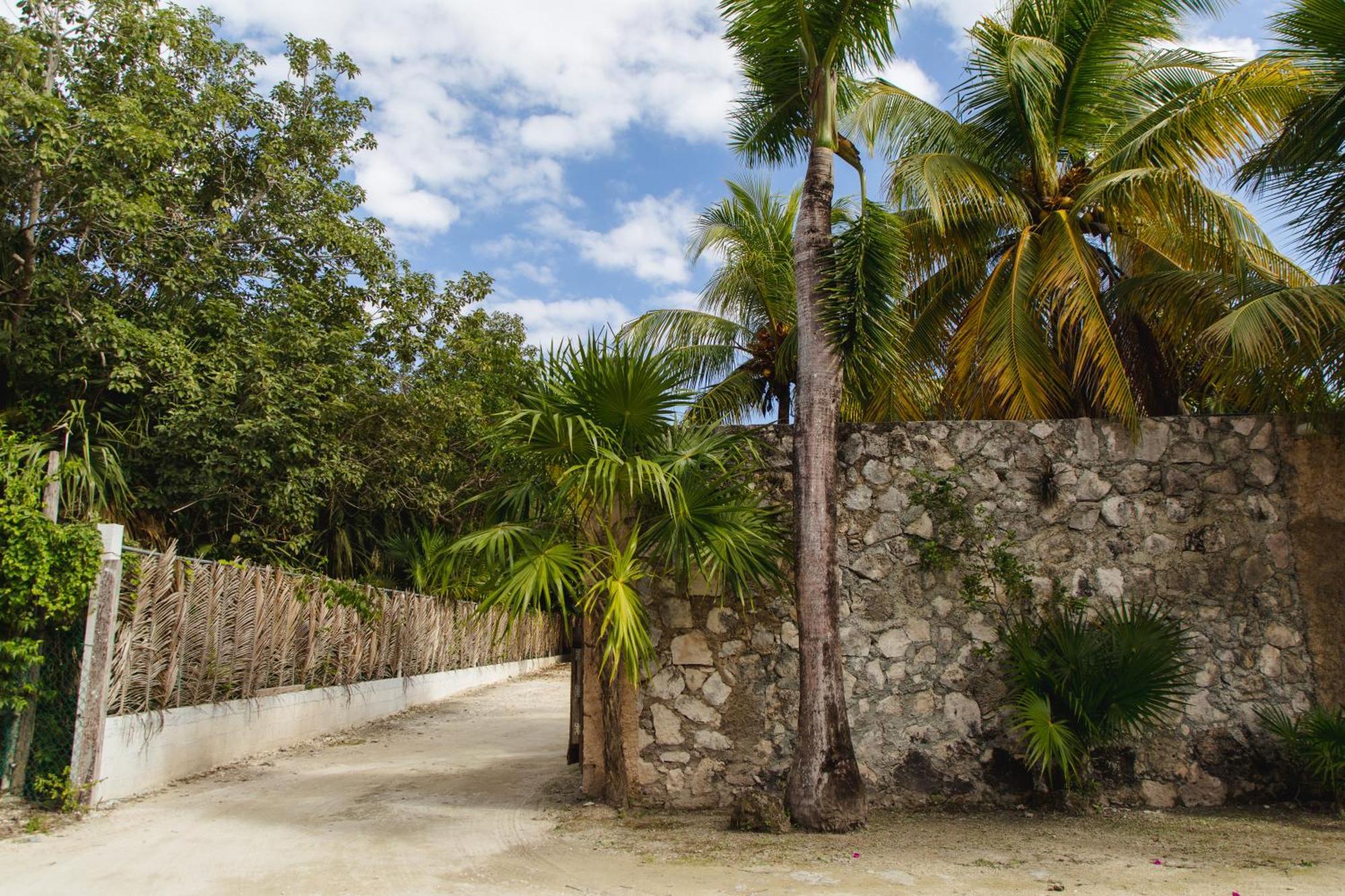 Angelina 28 Beachfront And Family Apartments - Modern And Relaxing Long Stays - 20 Min From Cancun Airport Puerto Morelos Luaran gambar
